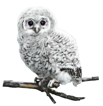 WINTER LOVE_DBJ-ELEM (63)