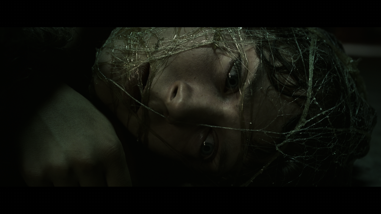 The Lord of the Rings- The Return of the King (EXT.) PT. 2.mkv_snapshot_00.50.23_[2020.12.19_21.47.5