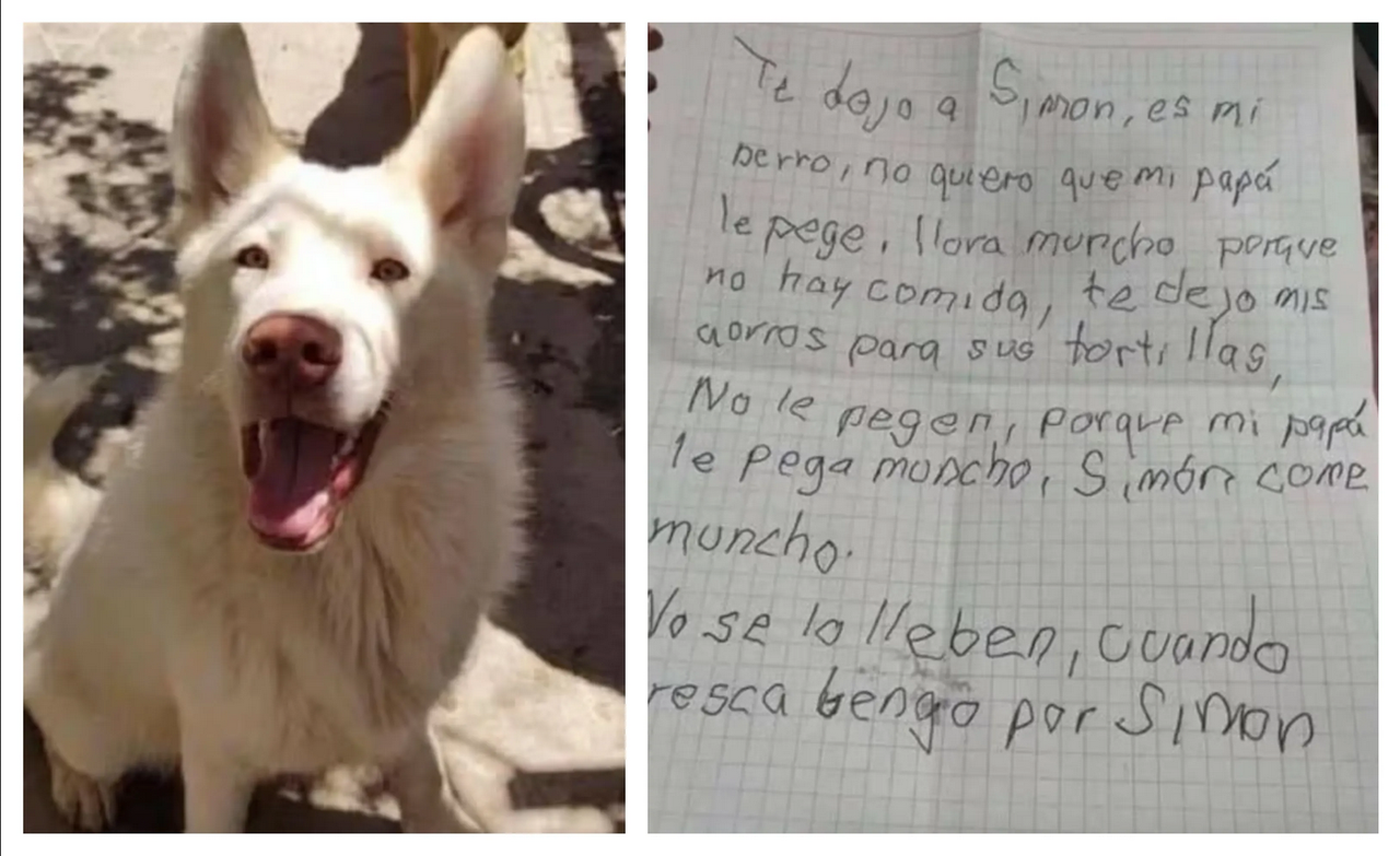 Deja a su perrito en un albergue para protegerlo del maltrato de su padre