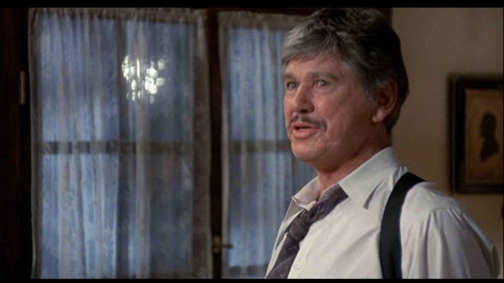 vlcsnap-2024-09-07-14h13m12s640