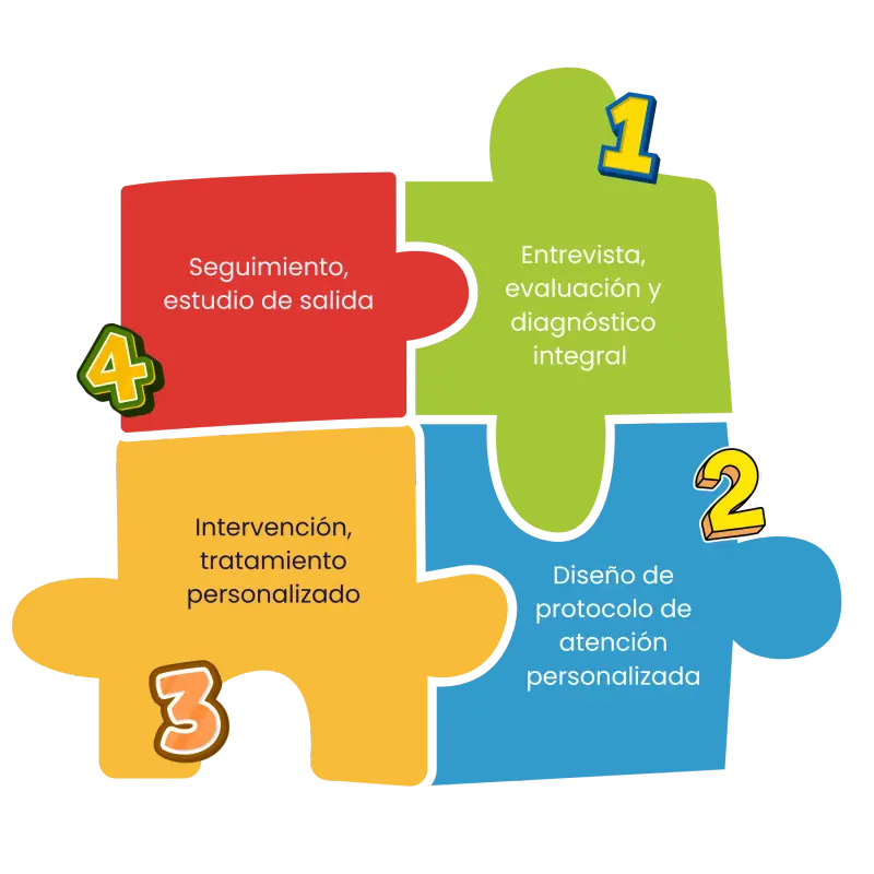 Proceso Rompecabezas Nexum