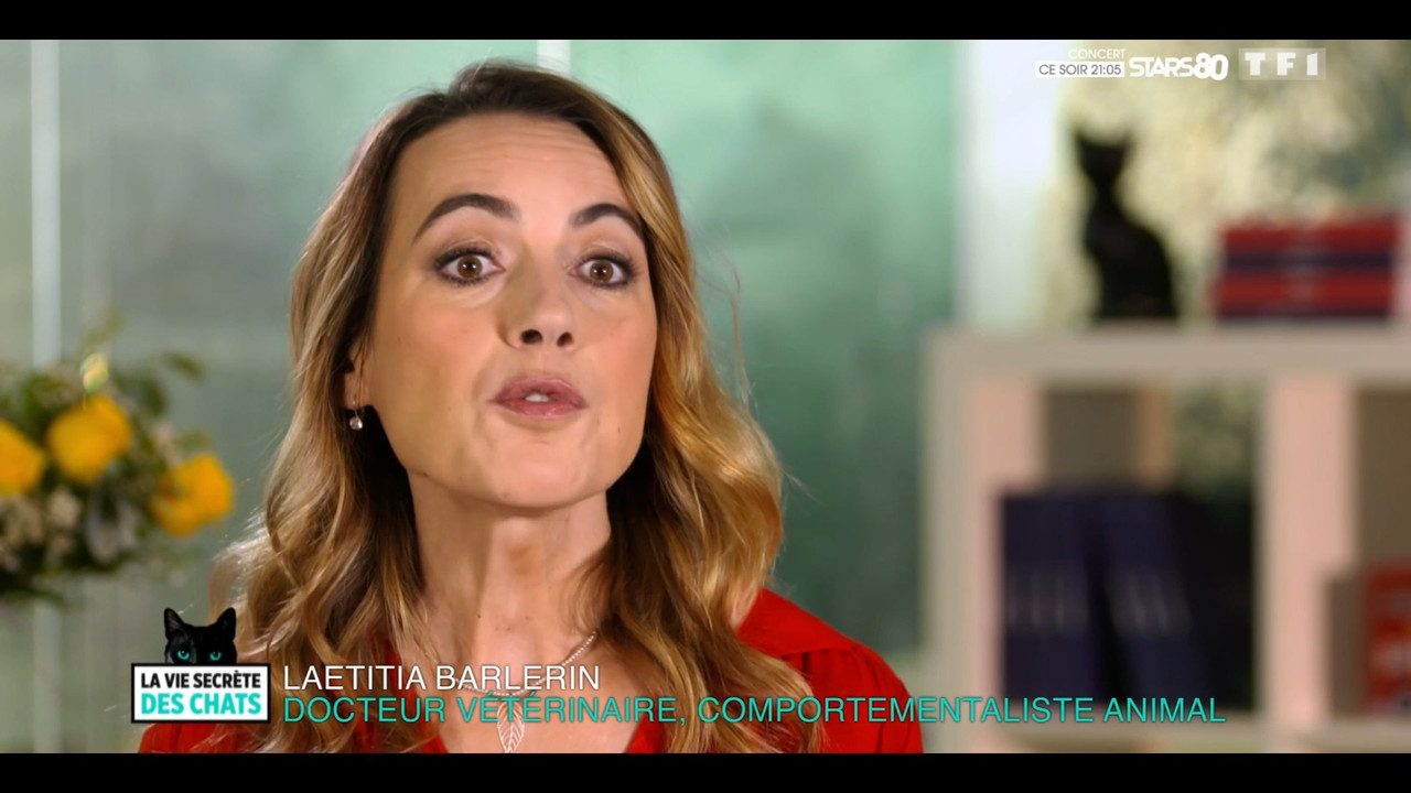 2020-05-30_10_35_TF1_La-vie-secrete-des-chats_Chats-et-sentiments-avec-Charlotte-Valan.mp4_snapshot_