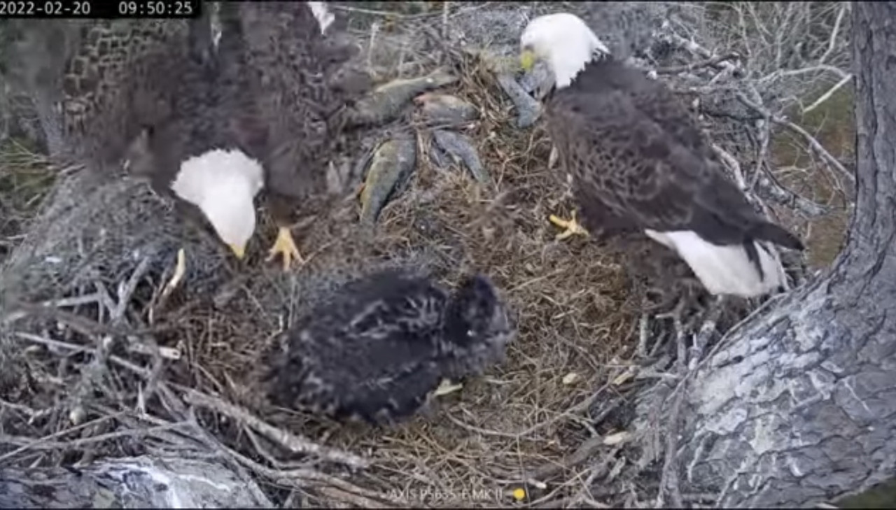 9870E0BD-FEF6-46A2-BCC4-52C4E6B9D76E