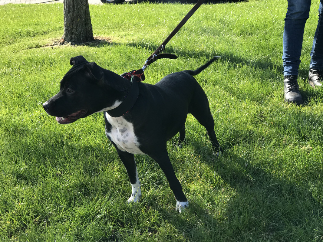 D4F12602-4FB5-408E-B57F-90A1F68B9940