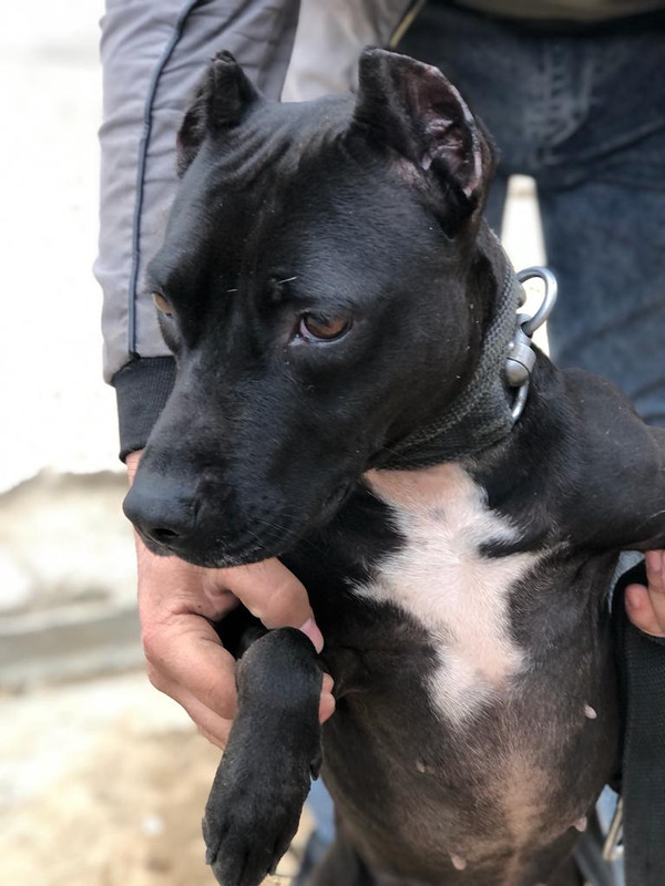 7ED0E621-45DE-470D-AFB2-139597278C52