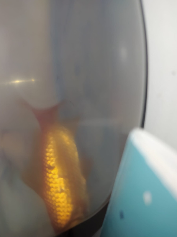 WhatsApp Image 2020-12-01 at 18.53.15 (1)