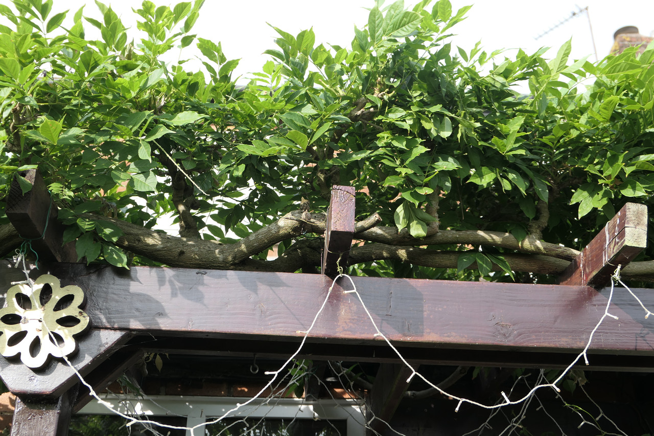 P1050052