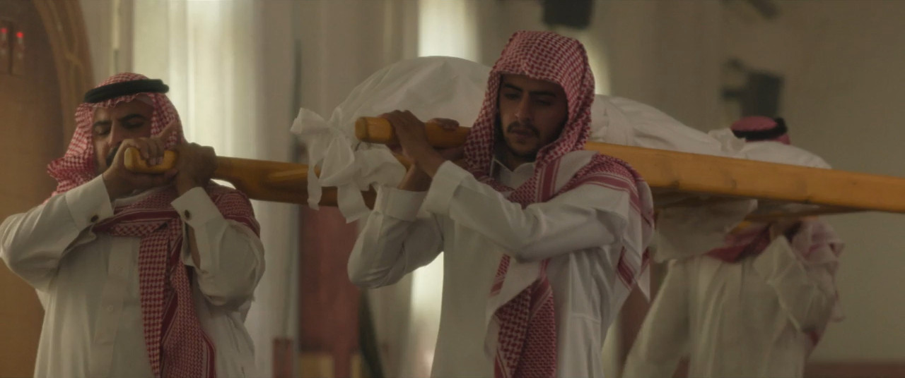 Unidentified 2026 WebRip [Hindi + Tamil + Telugu + Arabic] 480p 720p ESub Screenshot