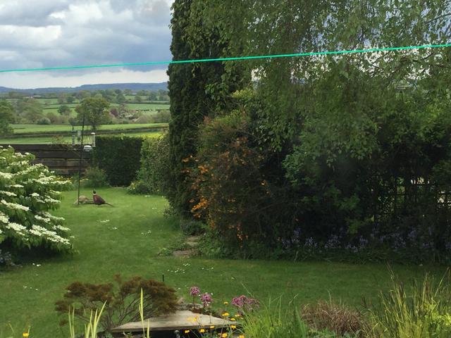 94EBD0B4-017C-4910-A59E-4EF135939756