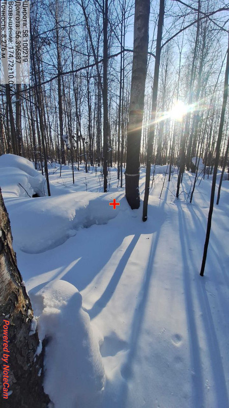 IMG 20260309 203733 331