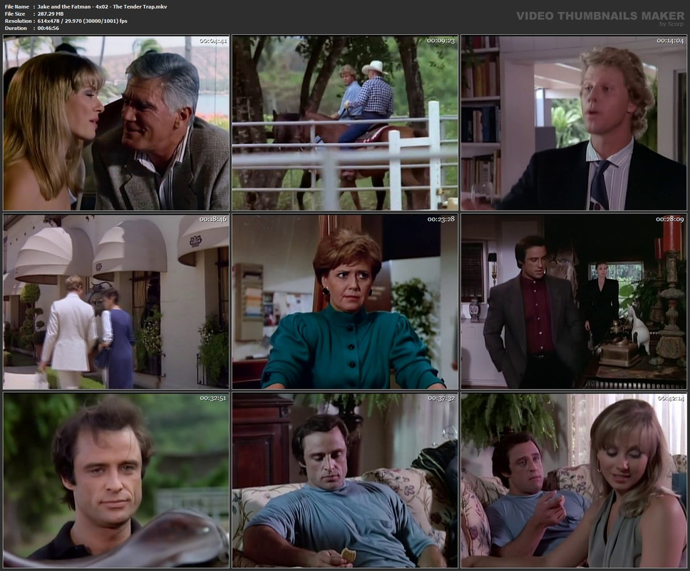 Jake and the Fatman - 4x02 - The Tender Trap.mkv