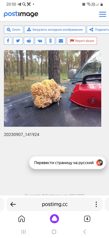 Screenshot_20230908_205005_Yandex