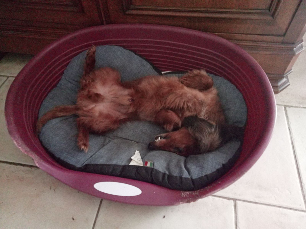 [Image: IMG-20240625-140333.jpg]