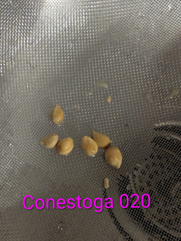 PXL 20251125 151211162 3