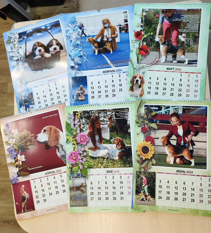 бигли календари
