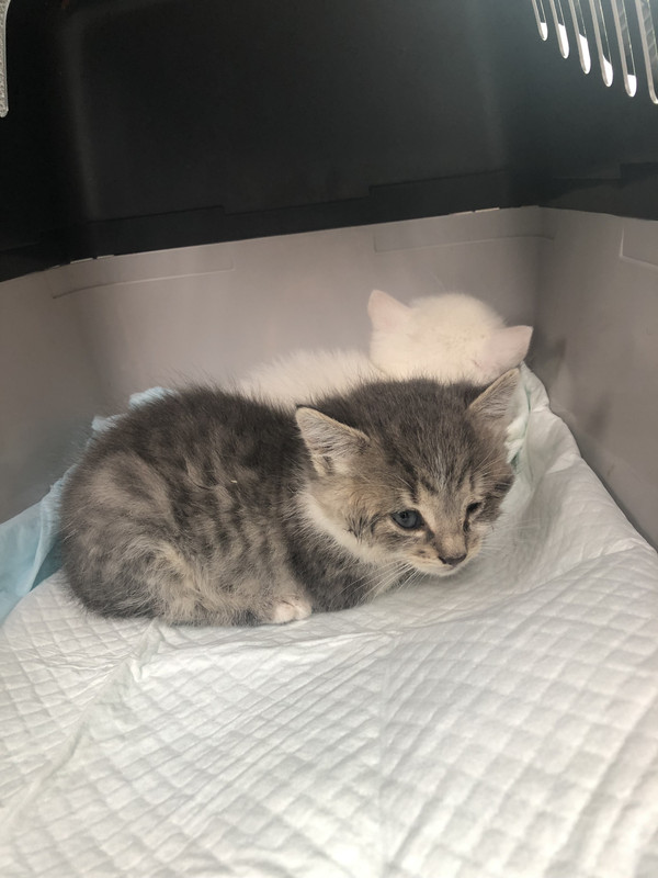 04820B44-AD18-4751-A311-D34218B83580