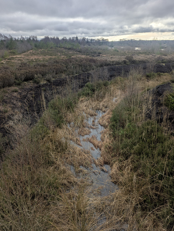 PXL_20250202_133313597.NIGHT