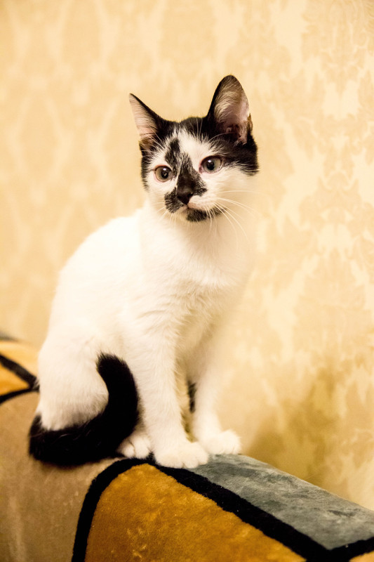 подросток-1-11