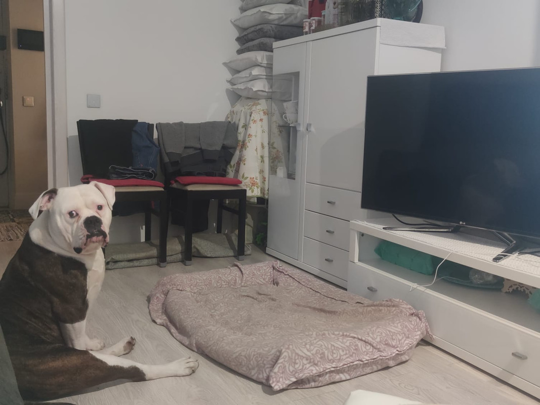 10223A48-A3AB-4183-834D-A3A158F2640B