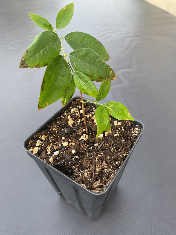 35832843-5F5C-486C-B72F-2FF07E48F886