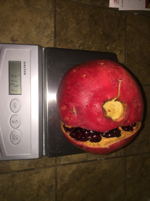 6B8D13FC-DFA4-4931-B1BD-60F726BF24D3