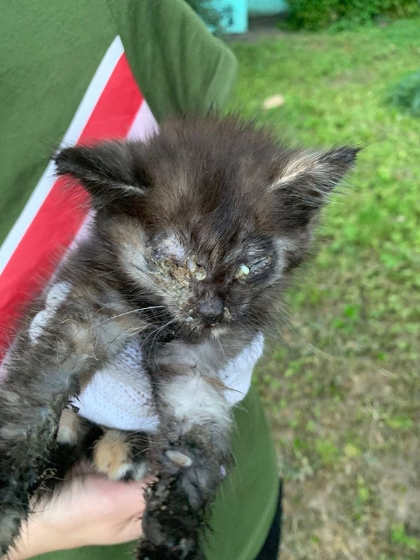 69D67BBC-F594-4D71-88F9-C4DB43DC5504