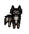 torrtorr.gif
