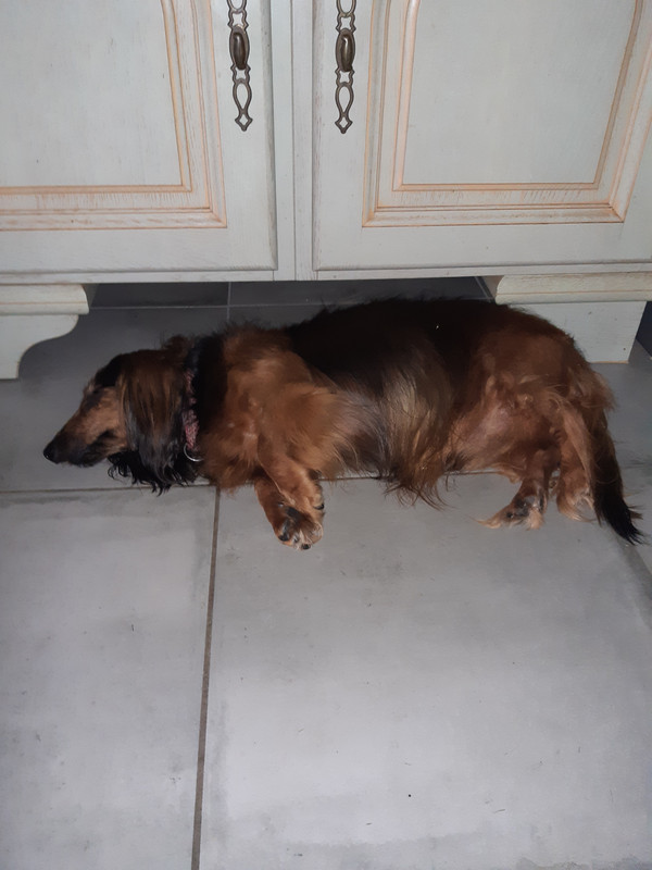 [Image: 20210618-124816.jpg]