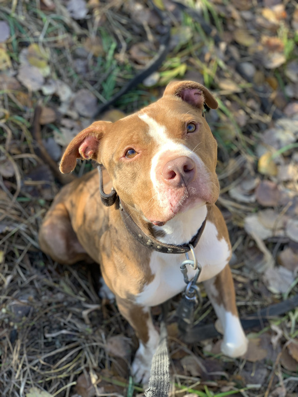 306559F1-B453-437D-8710-FFC5C236B479