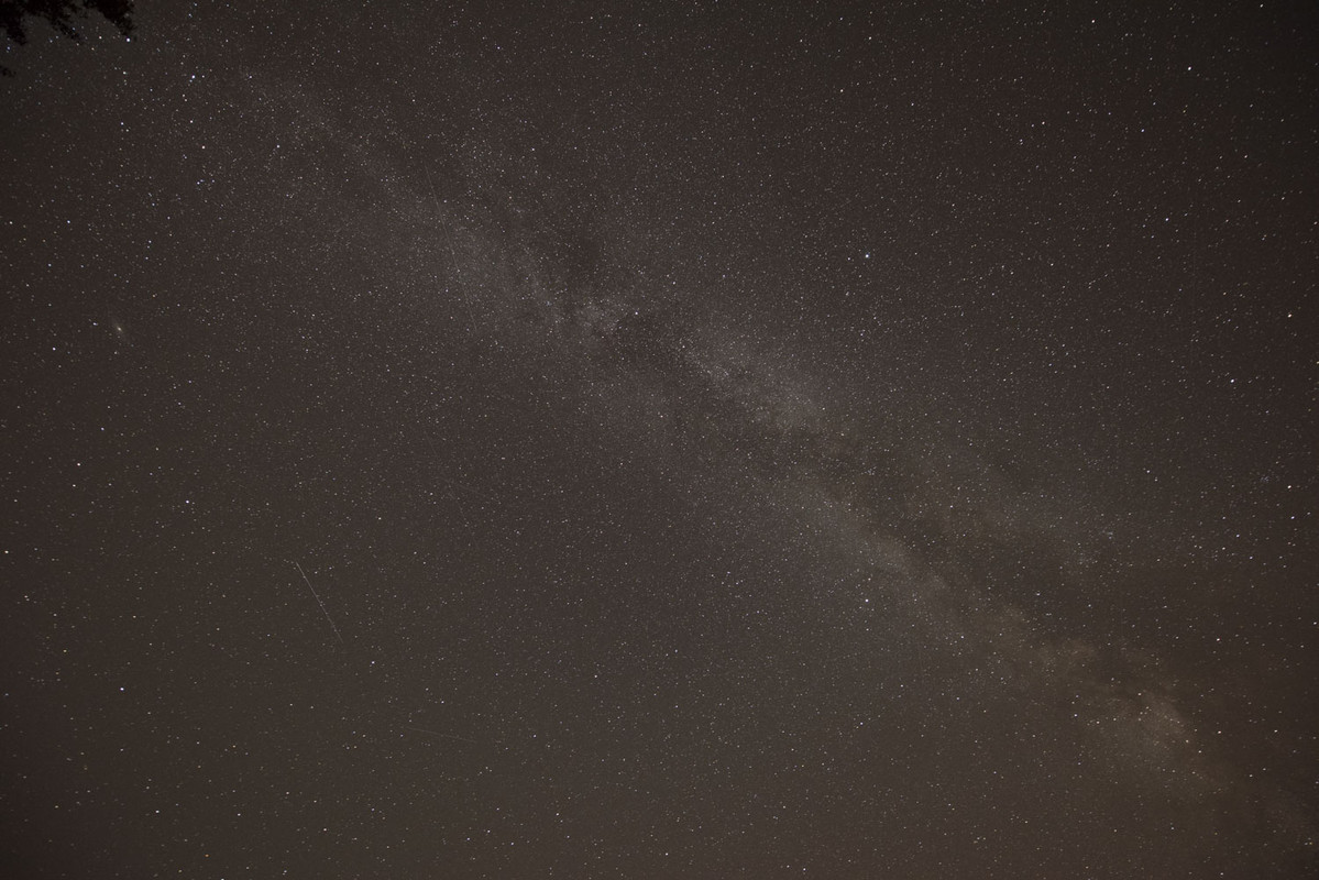 36.05 - NEW_9905 (Konfiturek)