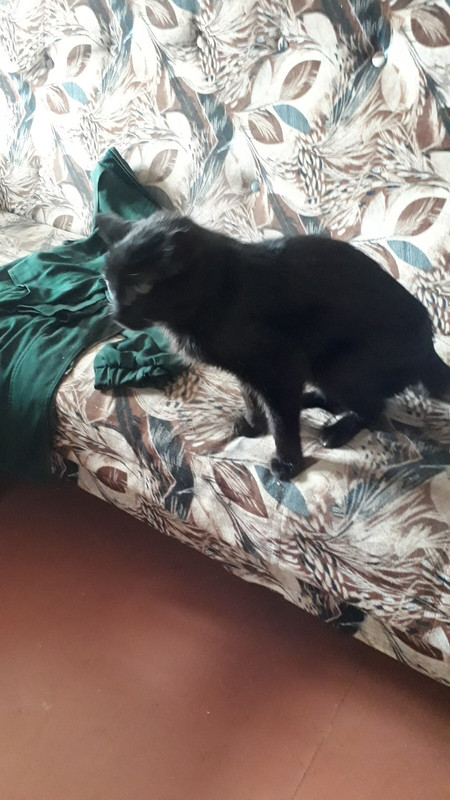 C3F14F98-D83E-4563-AB11-9104A7C4FC83