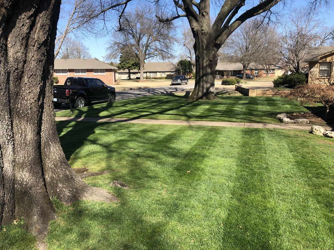 BB19737A-EF07-4962-8007-1DD95650AB8D