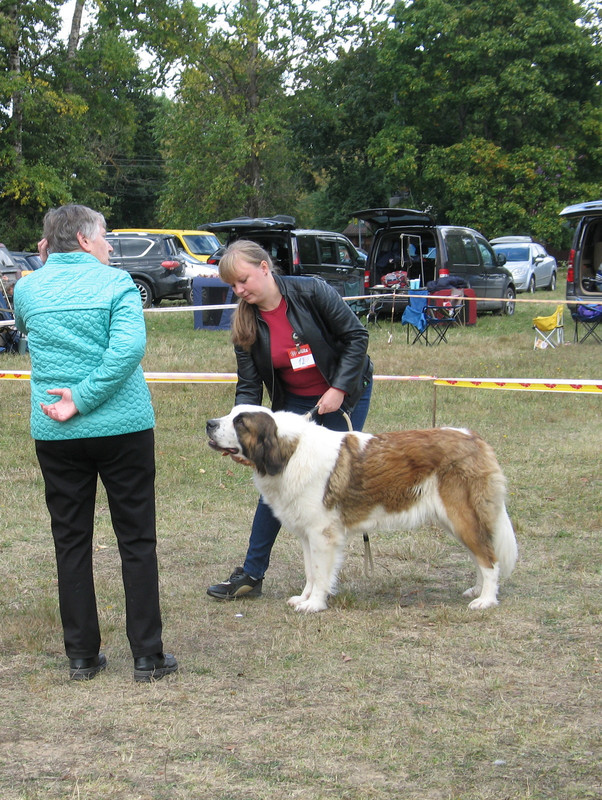 012 Посадская стража Царина