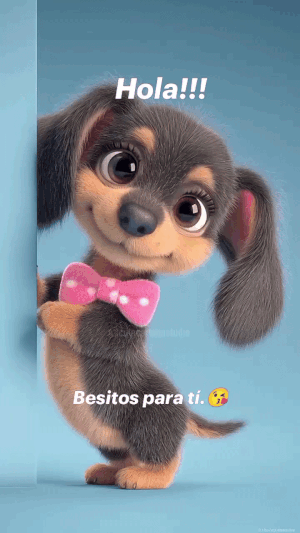 ezgif-86d42be8b205db23