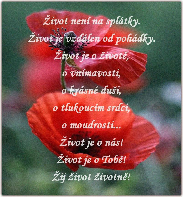 10649580_704768942935277_5718902472531596599_n