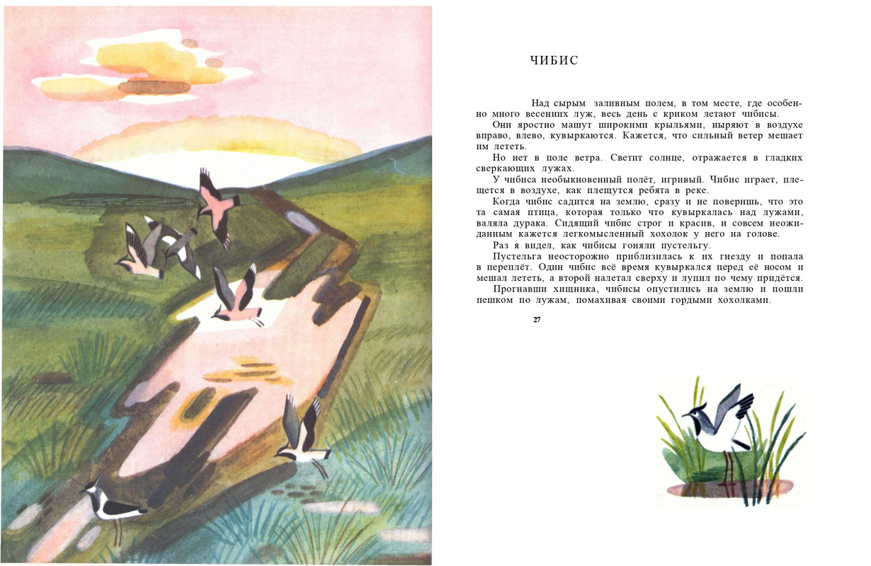 1991-page-0015
