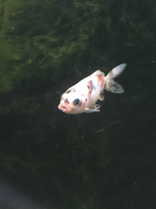 4D3CB87A-BC94-4994-9754-523832E83776