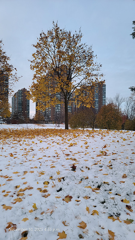 [Image: 20251110-165535.jpg]