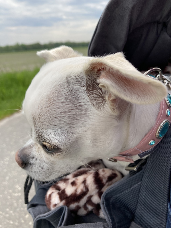 7F1071F2-C76A-4B3C-A015-F9F57EE094B5