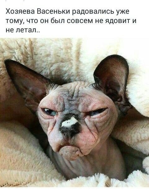 [Изображение: viber-2025-10-21-10-57-20-399.jpg]