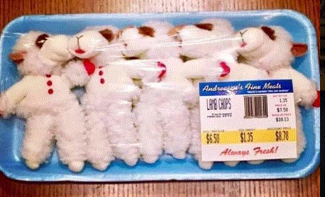 Lambchops