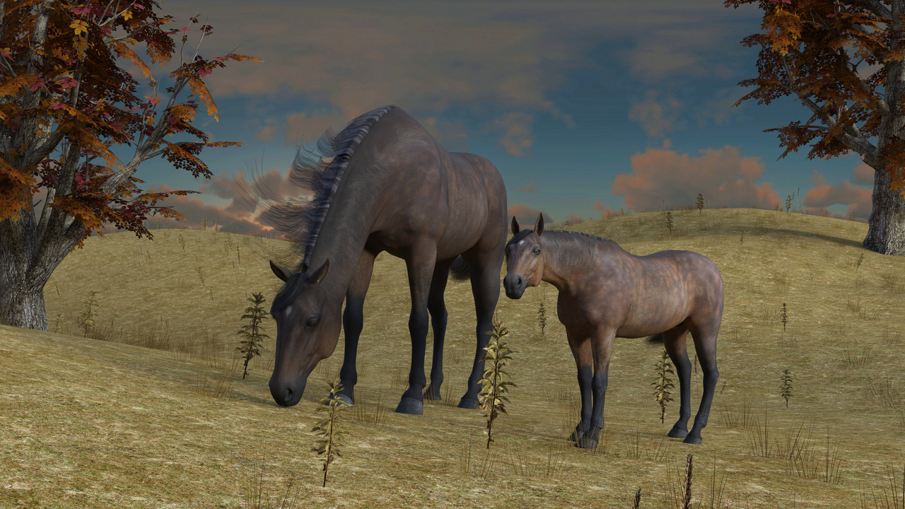 Hores&Colt