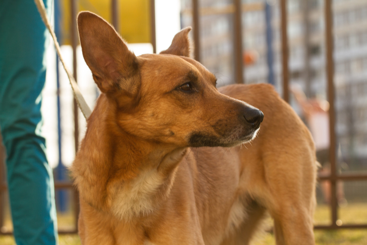 без имени-5306