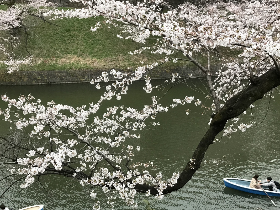 E4C6BF3F-B8AD-44F6-9099-0F0682BA93C2