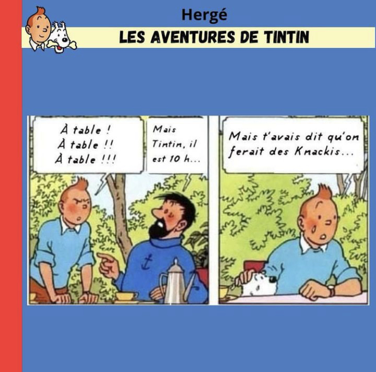 Les aventures de Tintin (détournement) - Page 2 2024-04-13-tintin-01
