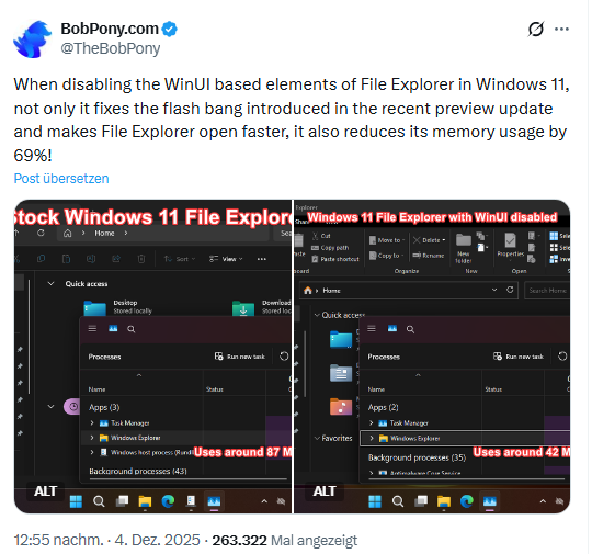 Windows 11 Explorer-Problem Windows 11 Explorer-Problem