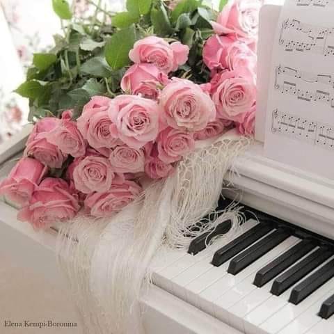 417935074-345064878319197-1260863226986790692-n