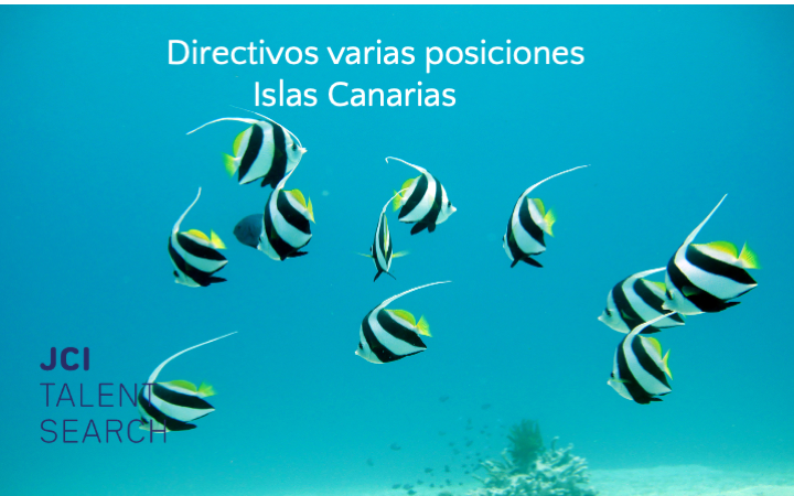 Directivos varias posiciones Islas Canarias