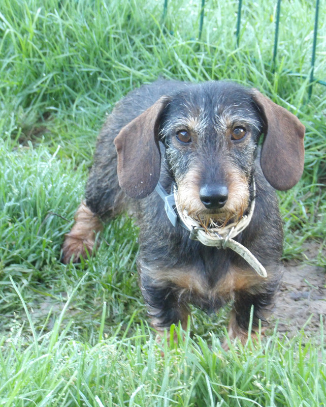 [Image: 125-0680.jpg]