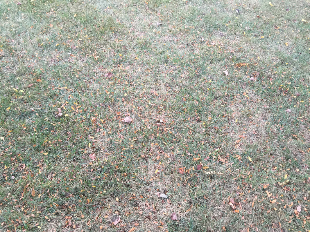 0E4DE1EA-DCB3-47FB-B09E-DE287EFAC0CF